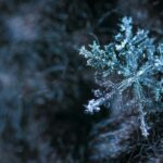 close up photography of snowflake